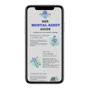 Mental Reset Guide