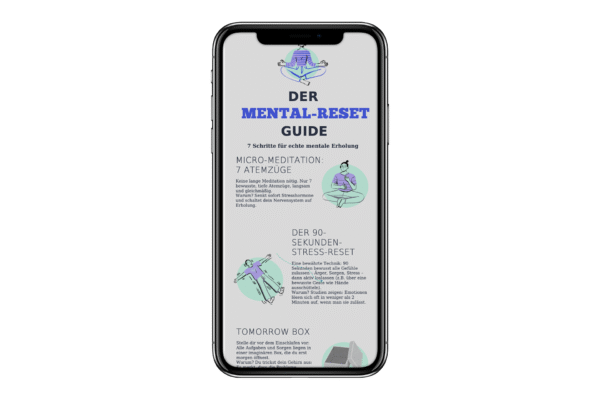 Mental Reset Guide